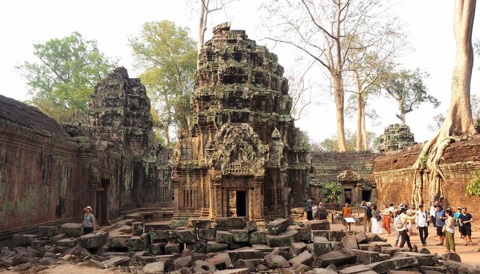 Art Histories and CAHIM Fellows 2018/19 and teams at Ta Prohm, Angkor region, Cambodia. Photo: Helene Bongers